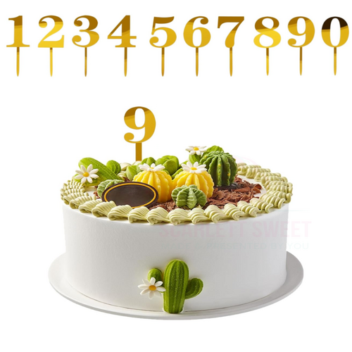 Number '9' Acrylic Topper 7cm