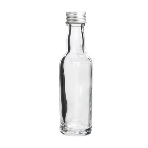 100ml 12PC Long Neck Bottle Silver GLASS $1.99 ea 