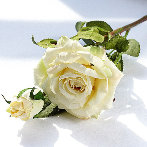 48cm Vintage Rose Ivory 